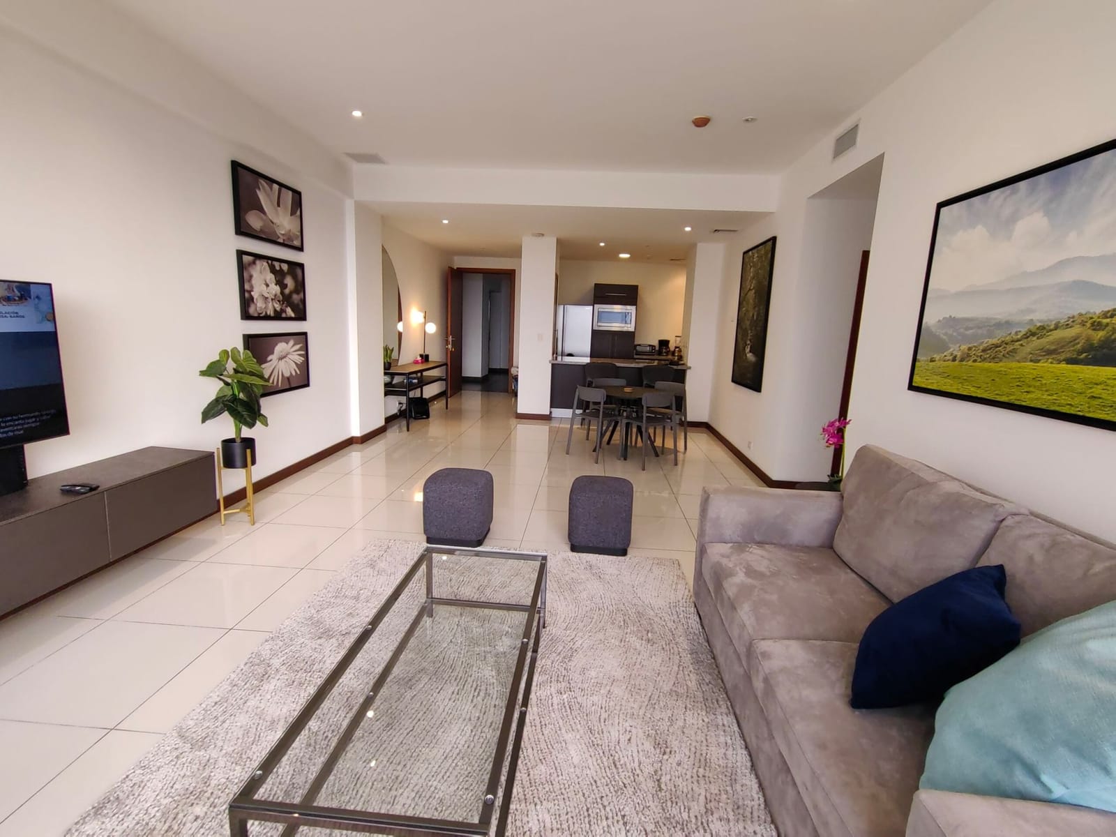 Living room and dining area with the entrance door beyond