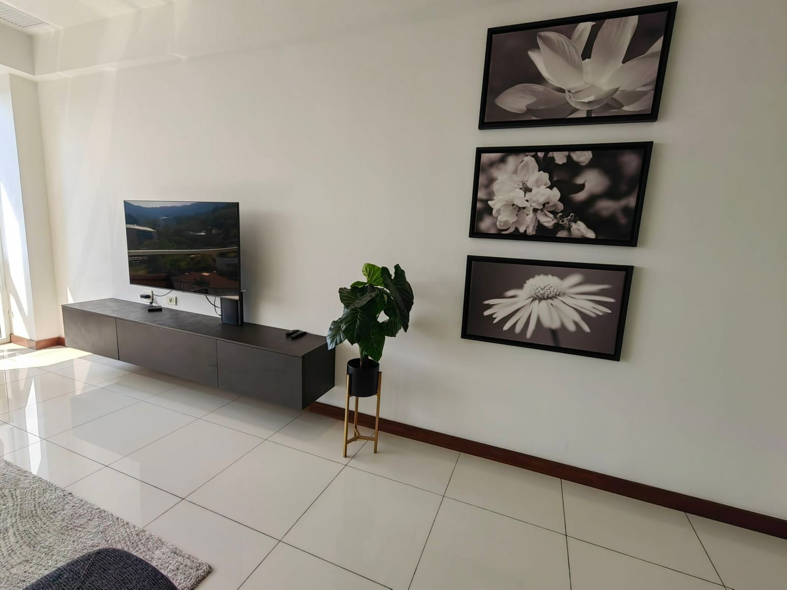 Wall TV on a low cabinet with botanical prints