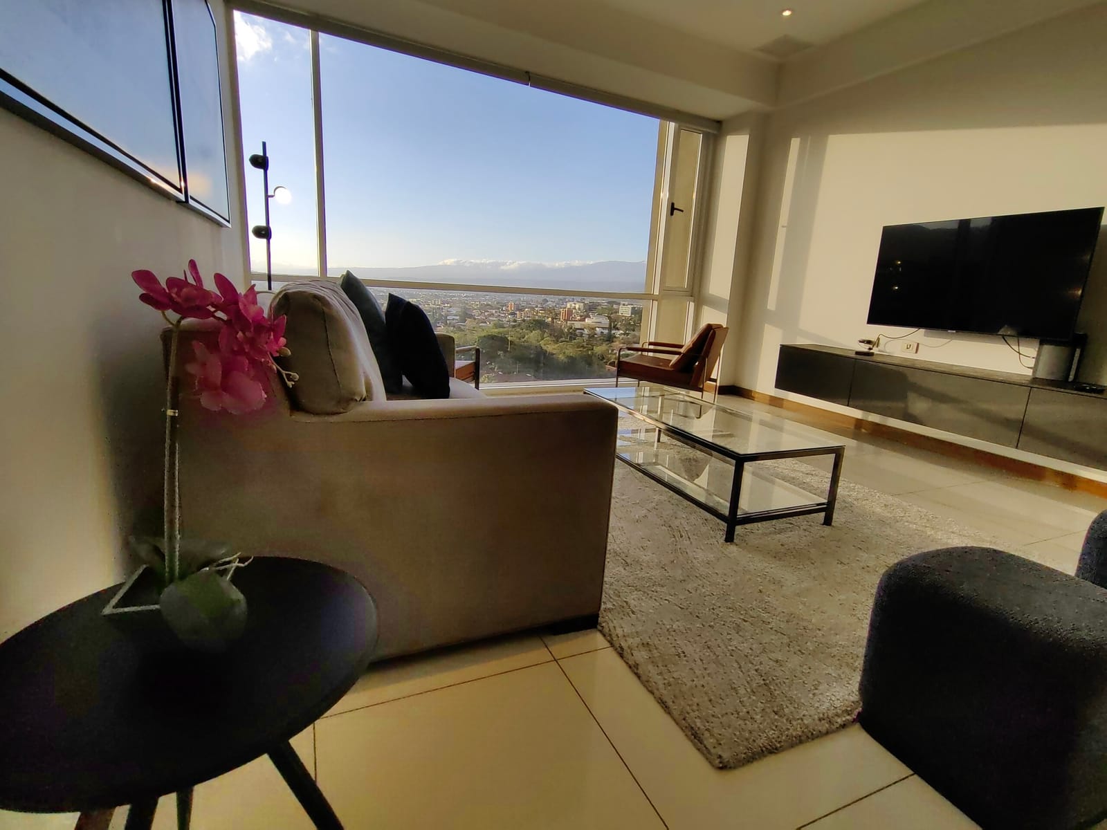 Sofa with orchid and city view through the corner window