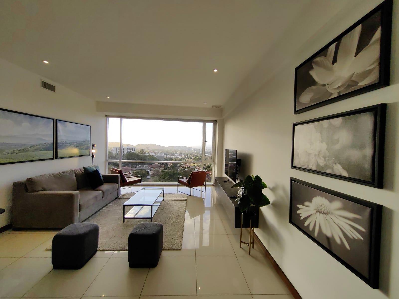 Flower prints on the wall and the sofa with view