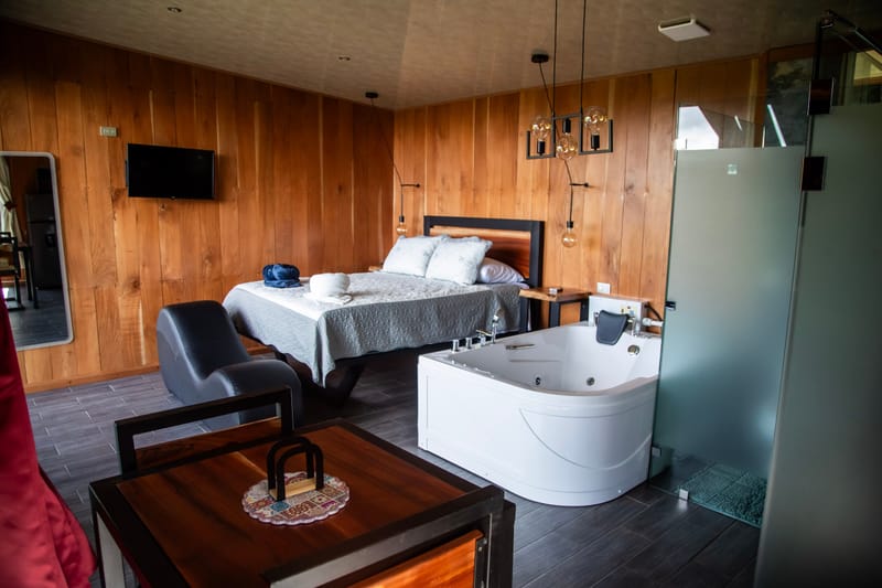 Wood-clad room with queen bed, jacuzzi and dining table