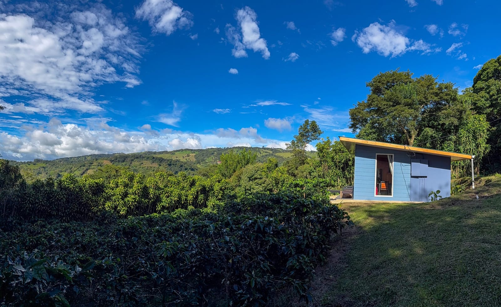 Cabin on the hilltop with coffee rows and valley beyond