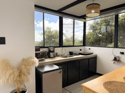 Corner window over the kitchenette with treetops outside