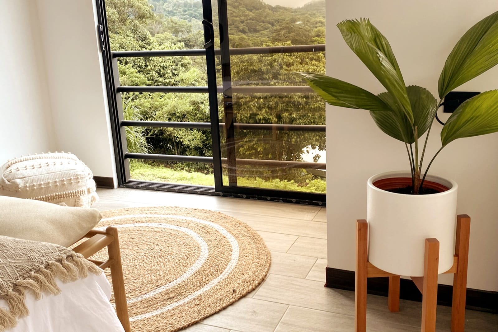 Glass door to the balcony with palm and round rug