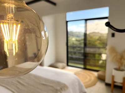 Filament bulb in front of the window and view