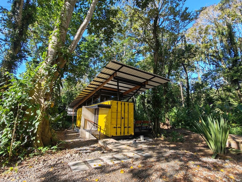 Yellow container loft under jungle trees with steel canopy