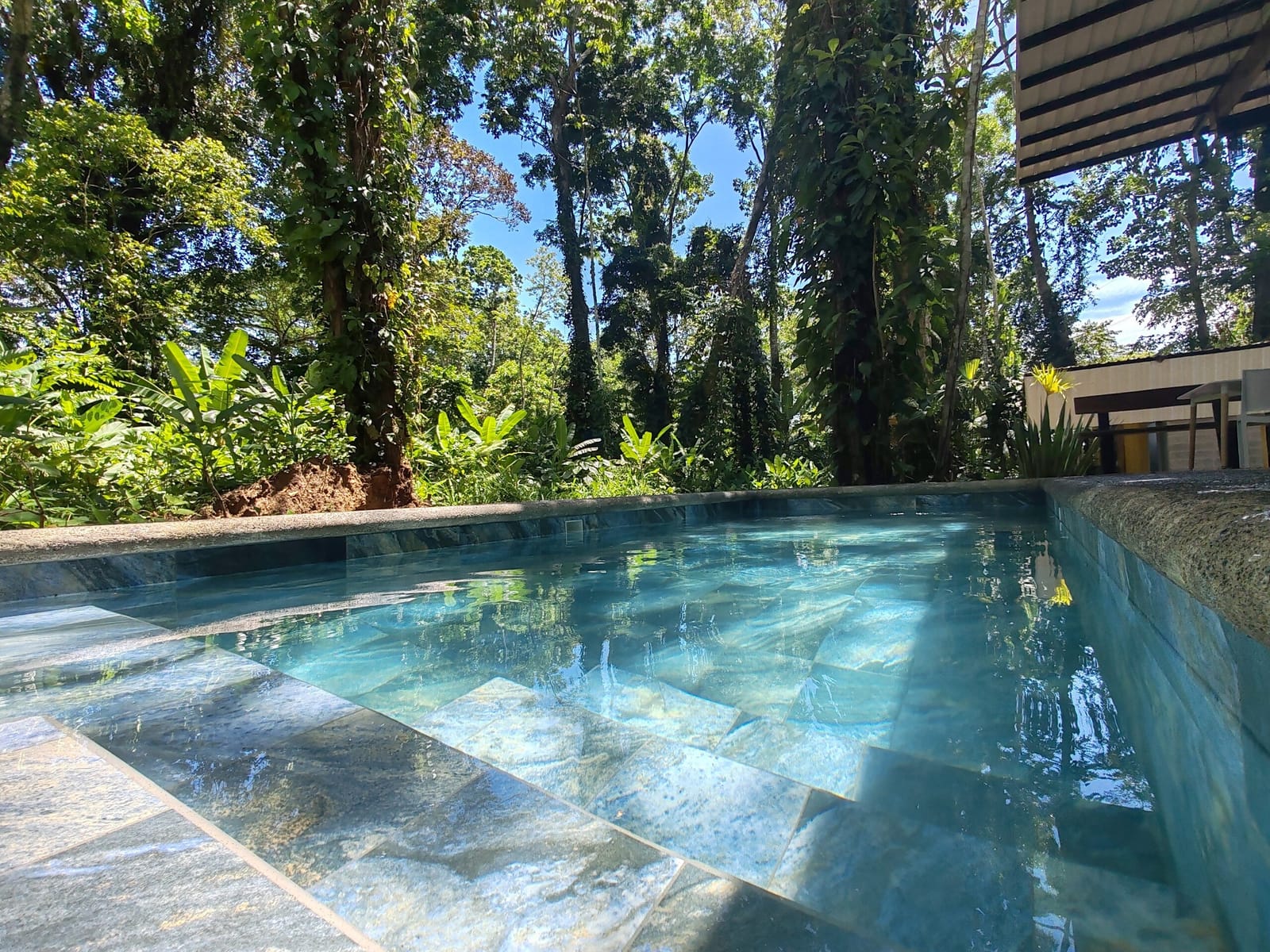 Turquoise plunge pool with stone deck under the forest canopy