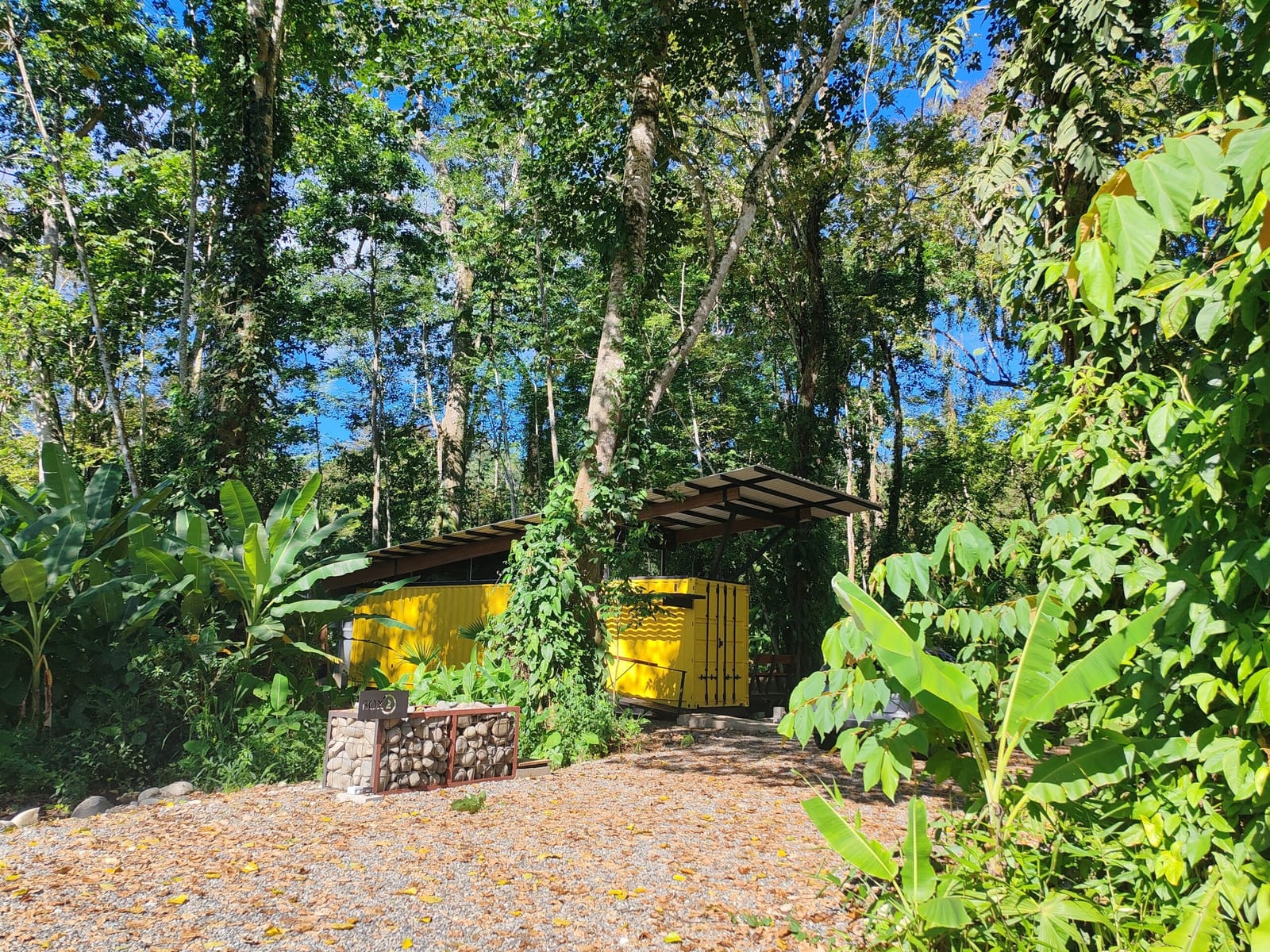 Yellow container seen through the jungle with gabion post