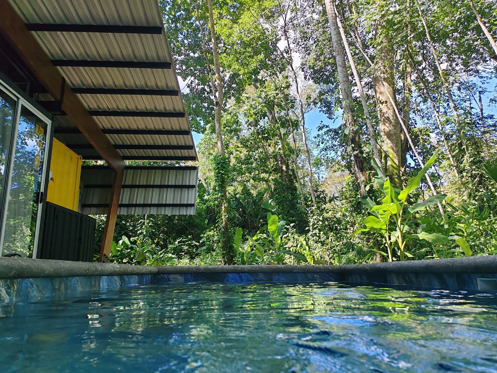 Plunge pool water with the container and forest canopy above