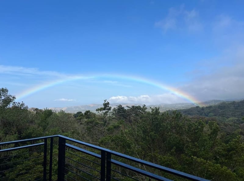 Rainbow over the forest seen from the deck railing