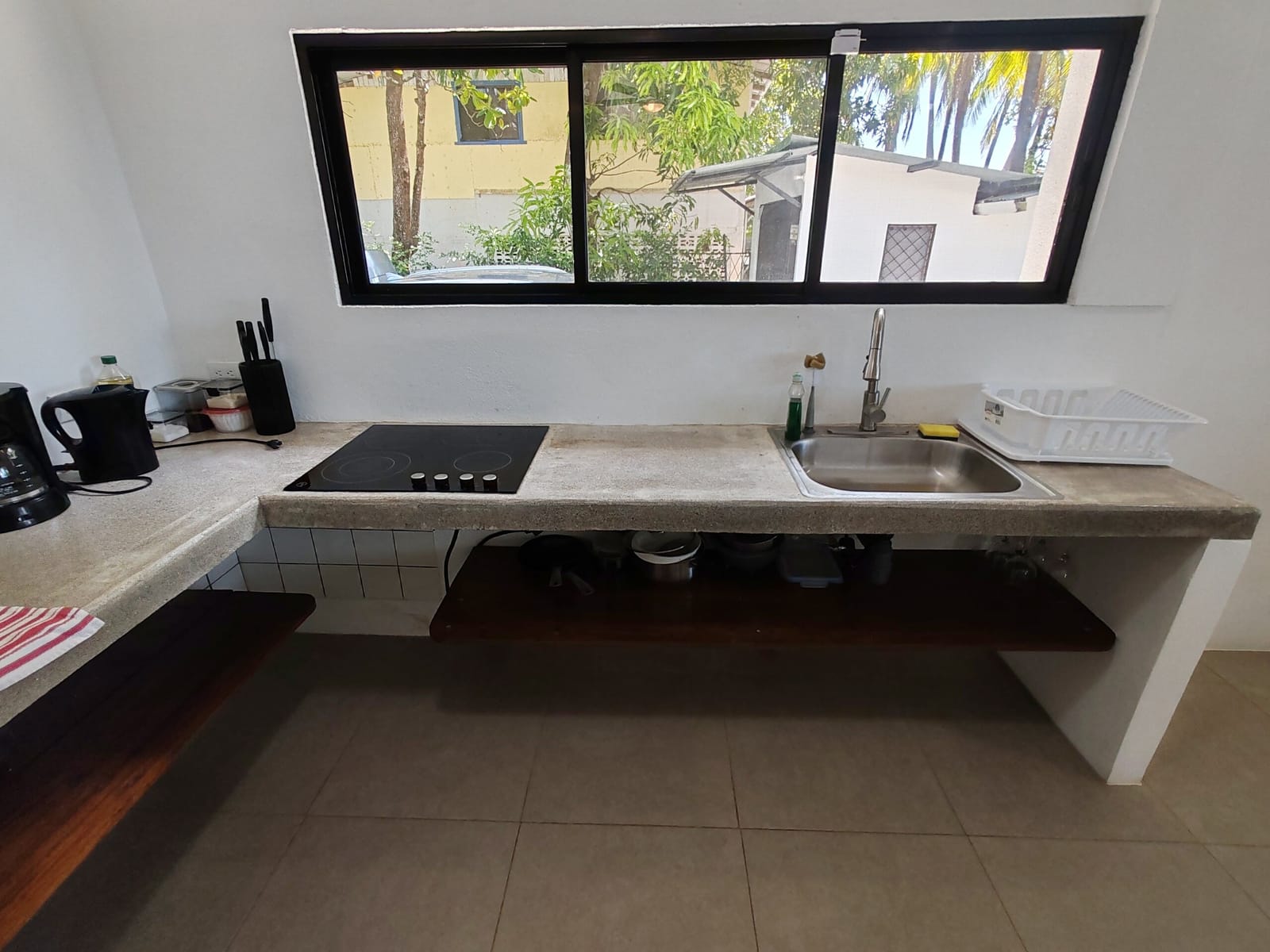 Kitchen window over the sink looking at the palms